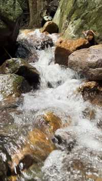 ทริปเดินป่าหน้าฝน น้ำตกโกรกอีดก สระบุรี