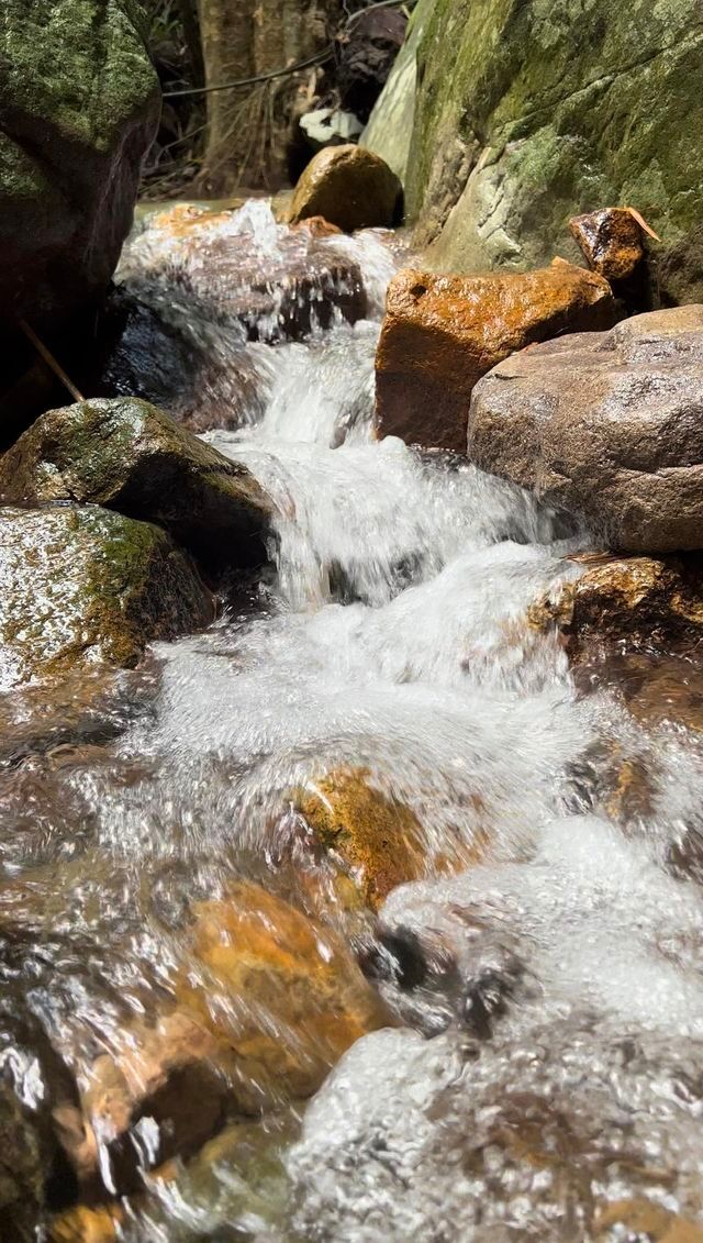 ทริปเดินป่าหน้าฝน น้ำตกโกรกอีดก สระบุรี