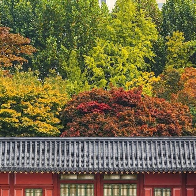 Beautiful Deoksugung Palace in Autumn 