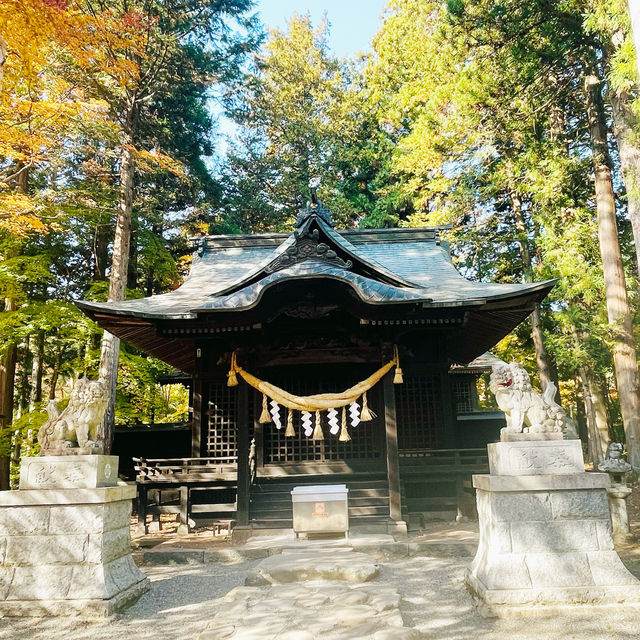 【長野県/紅葉が美しい🍁”出早雄小萩神社”と”出早公園”】