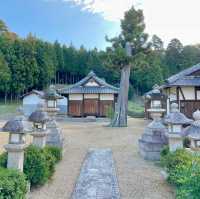 Yasaka Shrine: Centuries Unfolded Grace