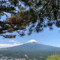 Fuji ☀️🗻 ไปดูฟูจิฟูใจที่ญี่ปุ่น 