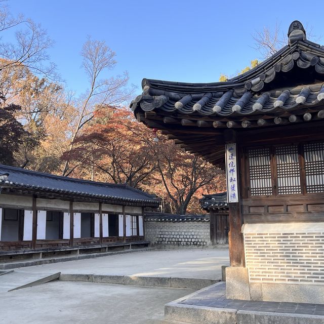 23년 마지막 자유관람, 우리의 역사가 담긴 창덕궁 비원을 보고 오다