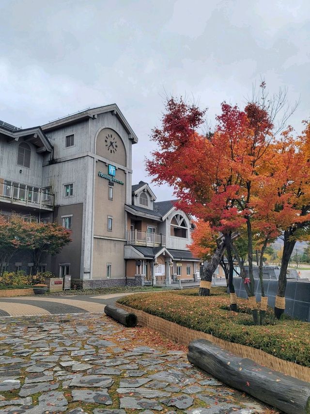 올드한듯 클래식한 슬로프 뷰가 멋진 객실이 있는곳✨️