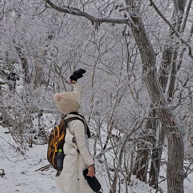 곤도라타고 5분이면 볼 수 있는 무주 덕유산 상고대