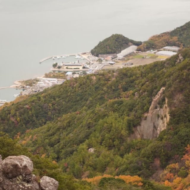 【銚子渓】野生の猿と触れ合える小豆島の観光地