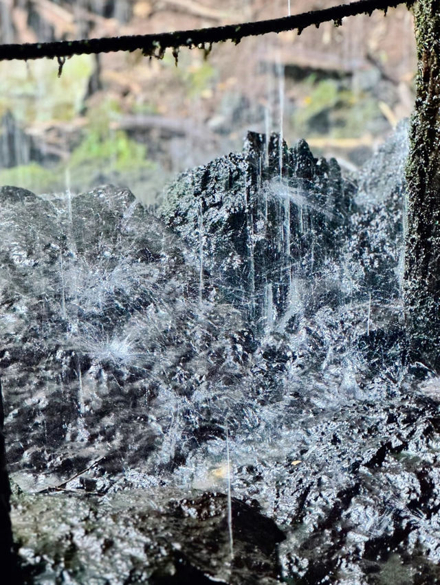 【絶景】滝を裏側から見られる珍しいスポット🐉