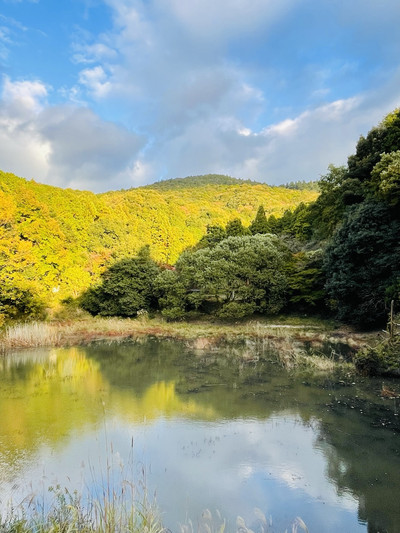 奈良県/檜原神社】2023年行ってよかった！奈良県の神社④ | Trip