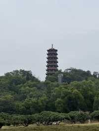【深圳】光明大仟里購物，光明三大著名景點