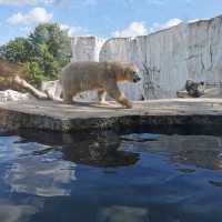 Zoo And Garden as one at Karlsruhe 