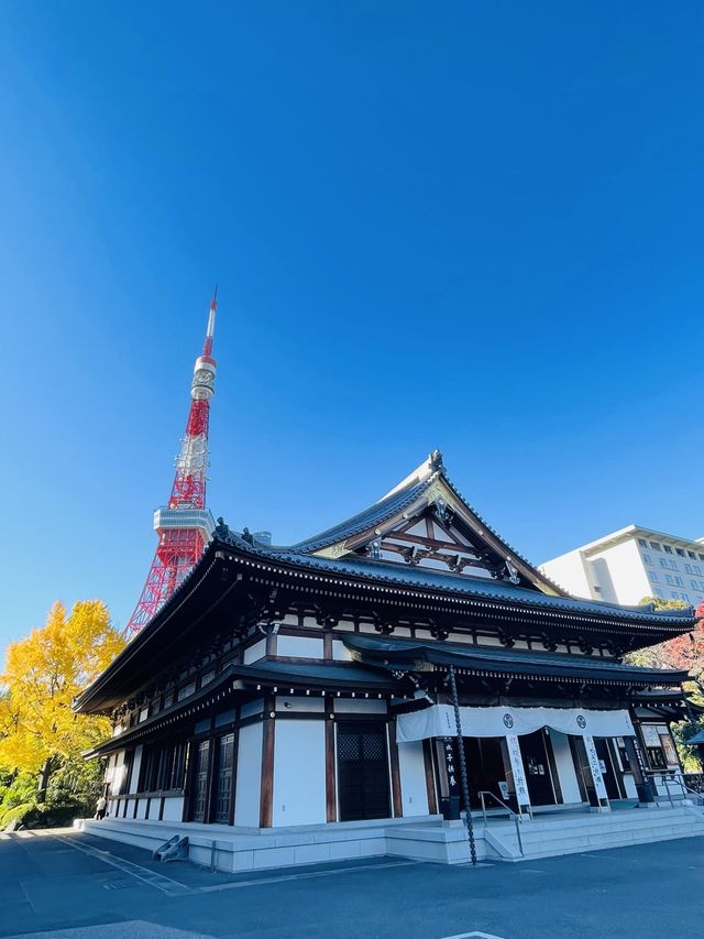 【東京都/増上寺】2023年行ってよかった！東京都の寺院