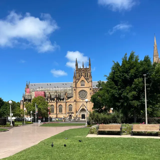 Amazing one day at the oldest Park in Sydney 