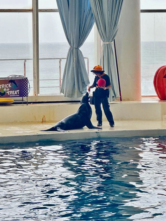 🤡Aqua World Oarai Aquarium วิวมหาสมุทรที่งดงาม