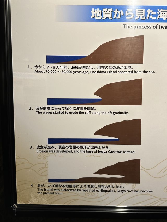 🇯🇵江之島岩屋🪨浪漫探險+捕捉最美日落🌄