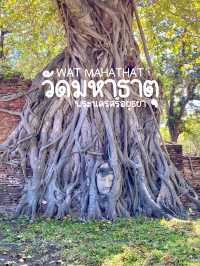 วัดมหาธาตุ พระนครศรีอยุธยา