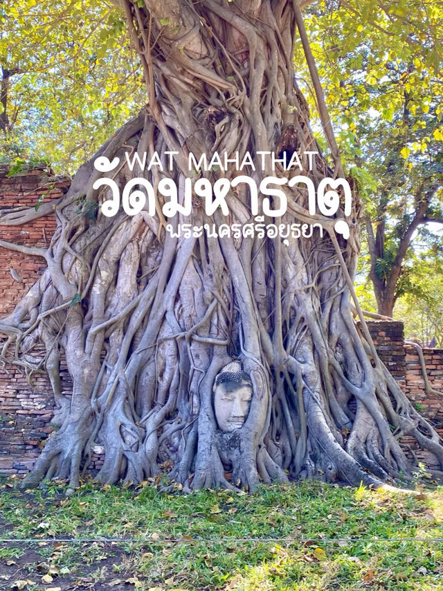 วัดมหาธาตุ พระนครศรีอยุธยา