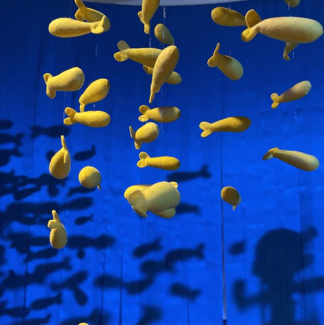 費用全免‼️色彩繽紛嘅全球首個數碼藝術水族館🌊