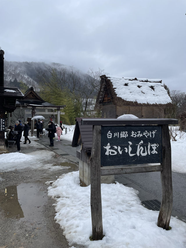 白川鄉合掌村｜世界文化遺產、征服日本的童話世界！🥰