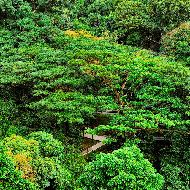 The Southern Ridges