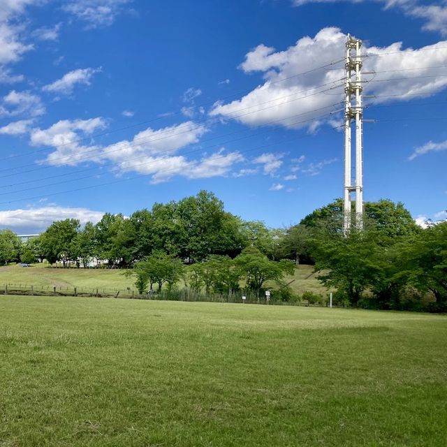 Science Expo Memorial Park 