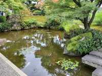Kiyosu Castle