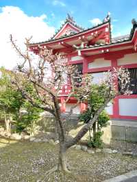 【平井白髭神社/東京都】広々とした境内と個性的な狛犬