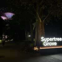 🌳夜晚超靚天空樹 • 濱海灣花園 Garden by the bay
