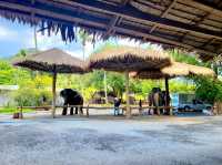 Ao Nang Elephant Sanctuary