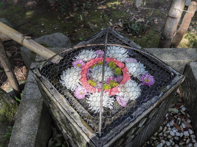 【山梨県】 甲斐の名将・武田信玄を祀る神社:武田神社