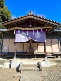 【九重神社/埼玉県】川口市指定の保存樹木「スダジイ」が圧巻！
