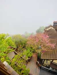 💗 Qingjing Farm Hotel : Spring Gound B&B