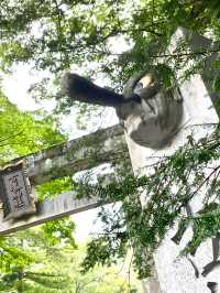 【古峯神社/栃木県】鹿沼の秘境地⁉︎天狗の杜