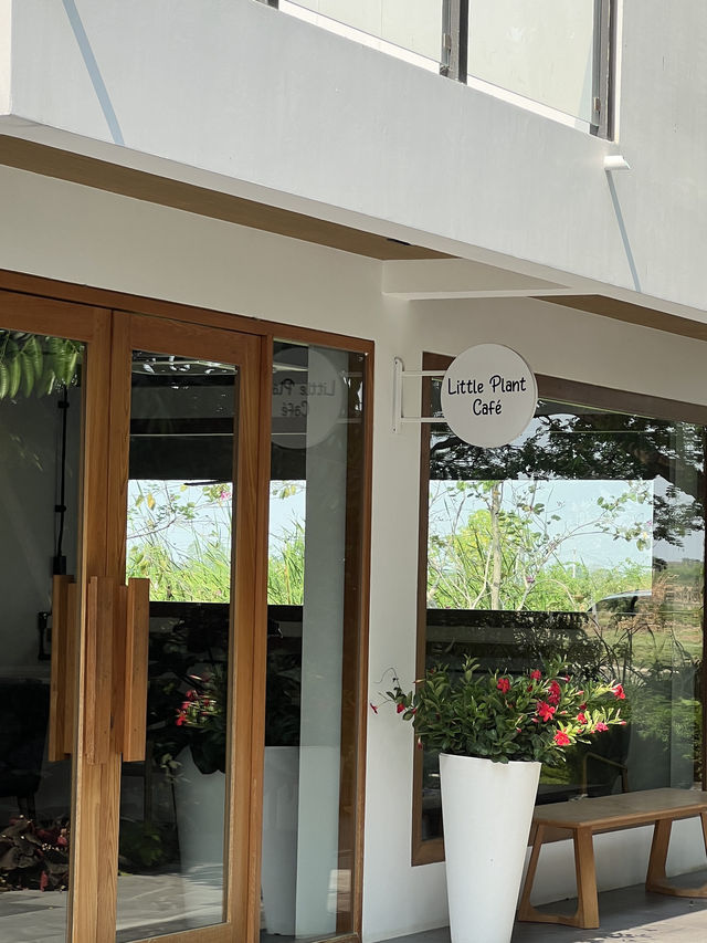 Little Plant Café & Wake Park