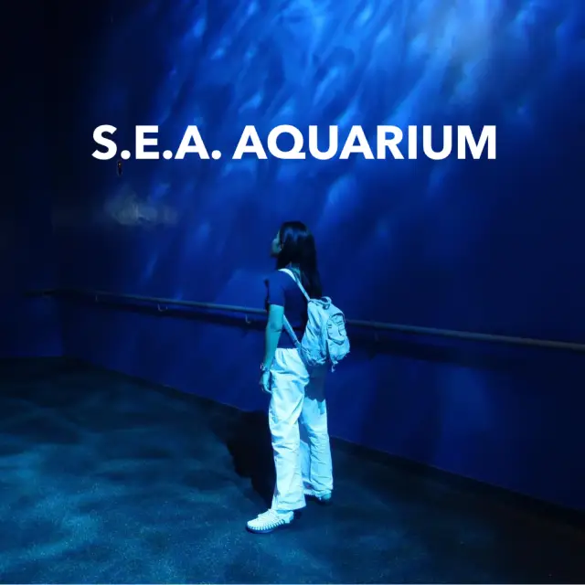 S.E.A. AQUARIUM🪼🐳