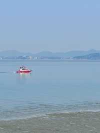 아름다운 봄 바다를 보며 바람을 쐬고 싶을때 🌊 서울근교 섬여행 추천