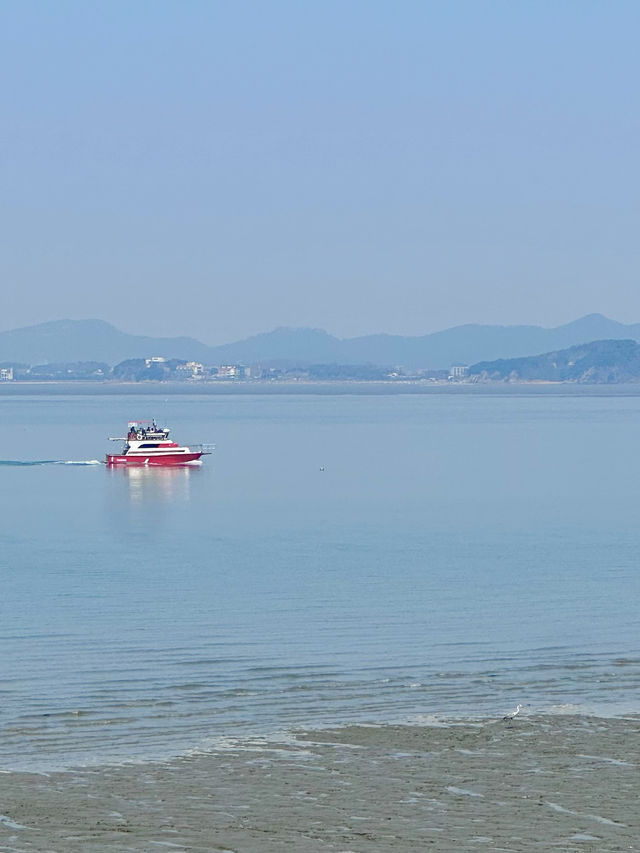 아름다운 봄 바다를 보며 바람을 쐬고 싶을때 🌊 서울근교 섬여행 추천