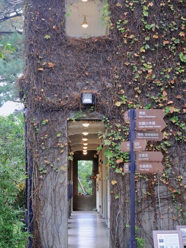 花蓮丨百年的松樹哪裡有丨松園別館
