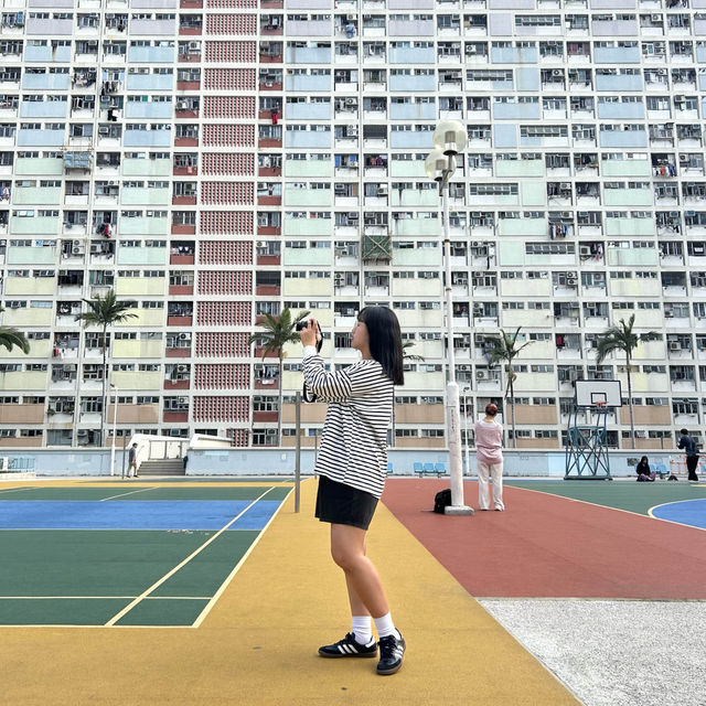 홍콩 무지개 아파트🌈 초이홍