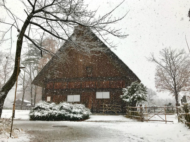 Houses blanketed in a soft layer of white ⛄️🇯🇵