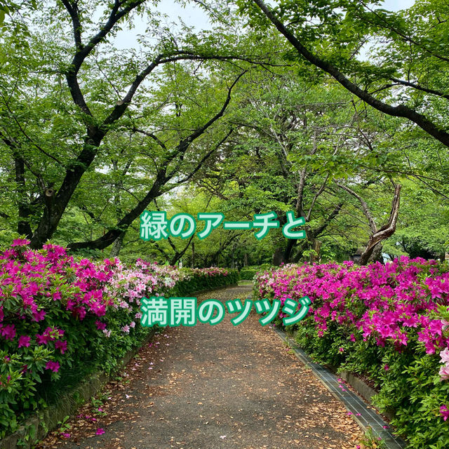 歴史探訪　乙川白山公園