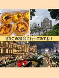今なら無料でマカオに行ける！🇲🇴