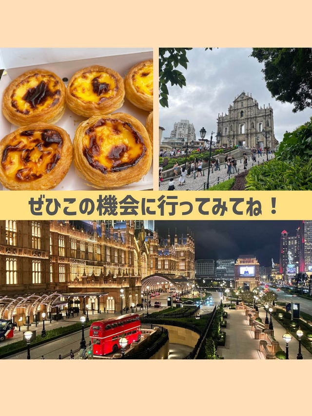 今なら無料でマカオに行ける！🇲🇴
