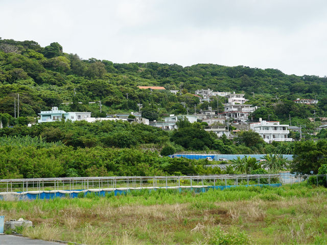 【沖繩】八重瀨町：山、農田、海，日韓春天好去處