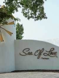 SAE OF LOVE PATTAYA 