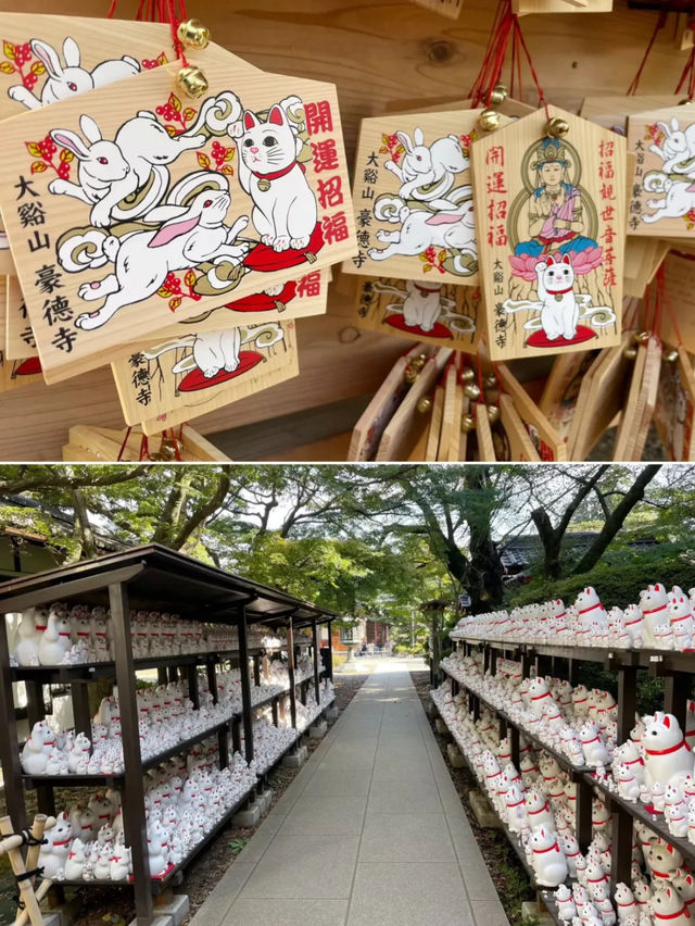 東京的秘密花園：豪德寺與千貓的祝福