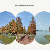 後灘濕地公園:自然王國