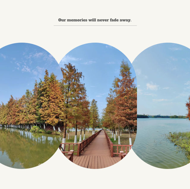 後灘濕地公園:自然王國 後灘濕地公園:自然王國