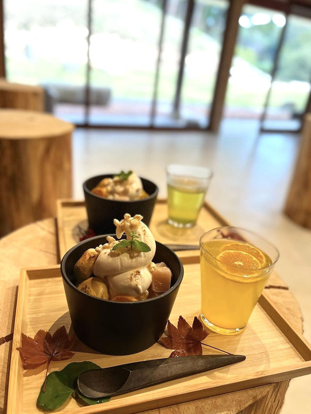 【山口カフェ】角島大橋展望台から徒歩5分！海が見える丘の四季の茶屋🍵