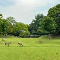 【吉隆坡】鹿園：野生動物與大自然的完美結合，讓您親近奇珍異景
