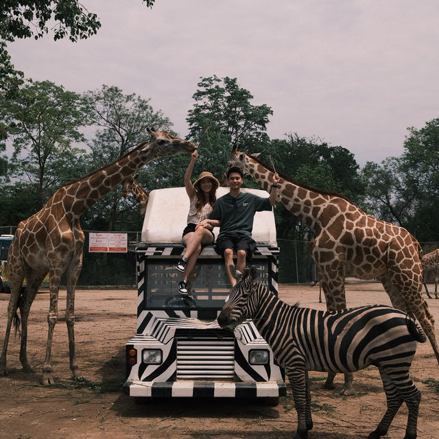 YOU MUST VISIT SAFARI PARK KANCHANABURI 